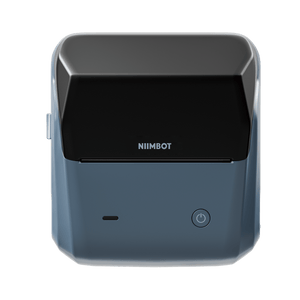 Niimbot B31 